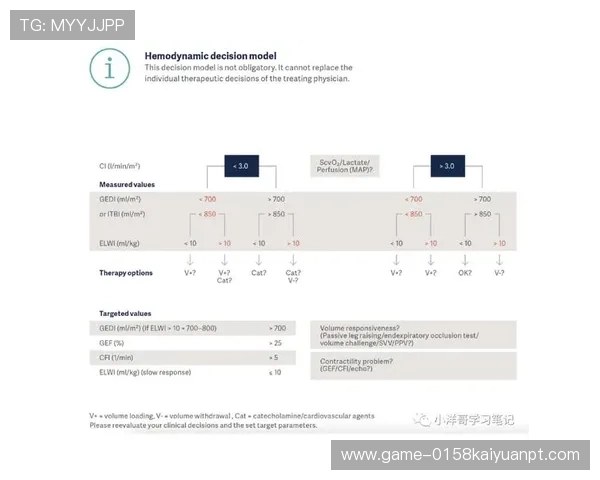 博9的核心玩法与规则全面解读帮助新手快速入门